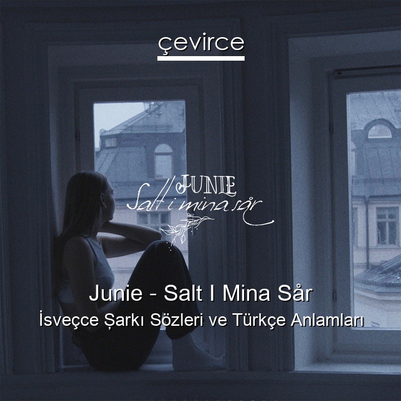 Junie – Salt I Mina Sår İsveçce Şarkı Sözleri Türkçe Anlamları
