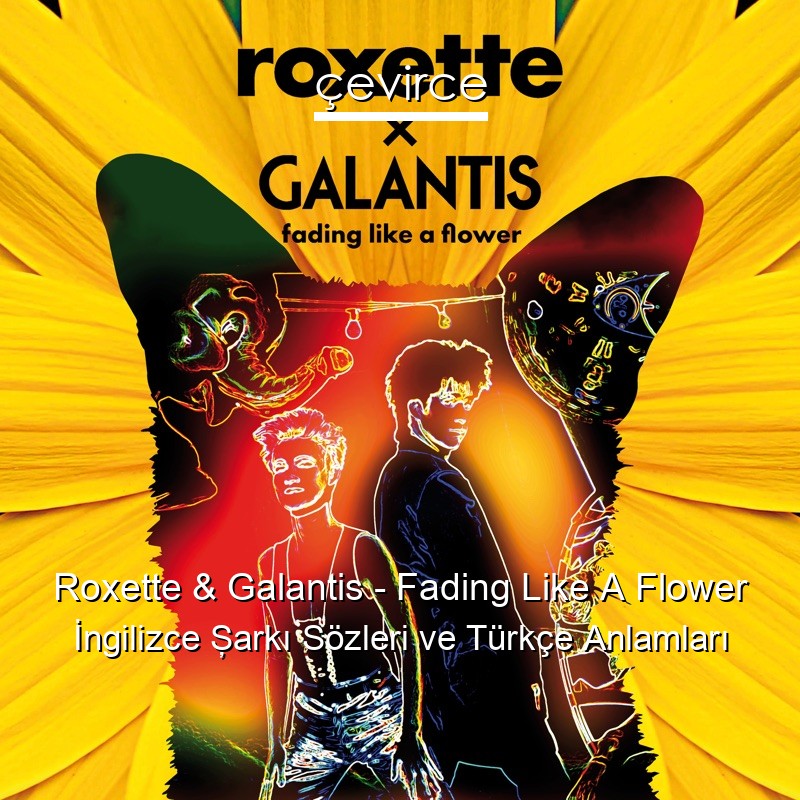 Roxette & Galantis – Fading Like A Flower İngilizce Şarkı Sözleri Türkçe Anlamları