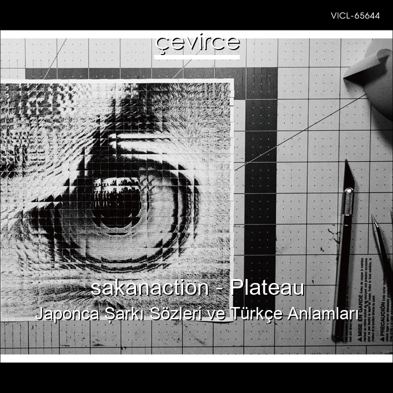 sakanaction – Plateau Japonca Şarkı Sözleri Türkçe Anlamları