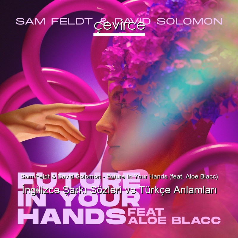 Sam Feldt & David Solomon – Future In Your Hands (feat. Aloe Blacc) İngilizce Şarkı Sözleri Türkçe Anlamları