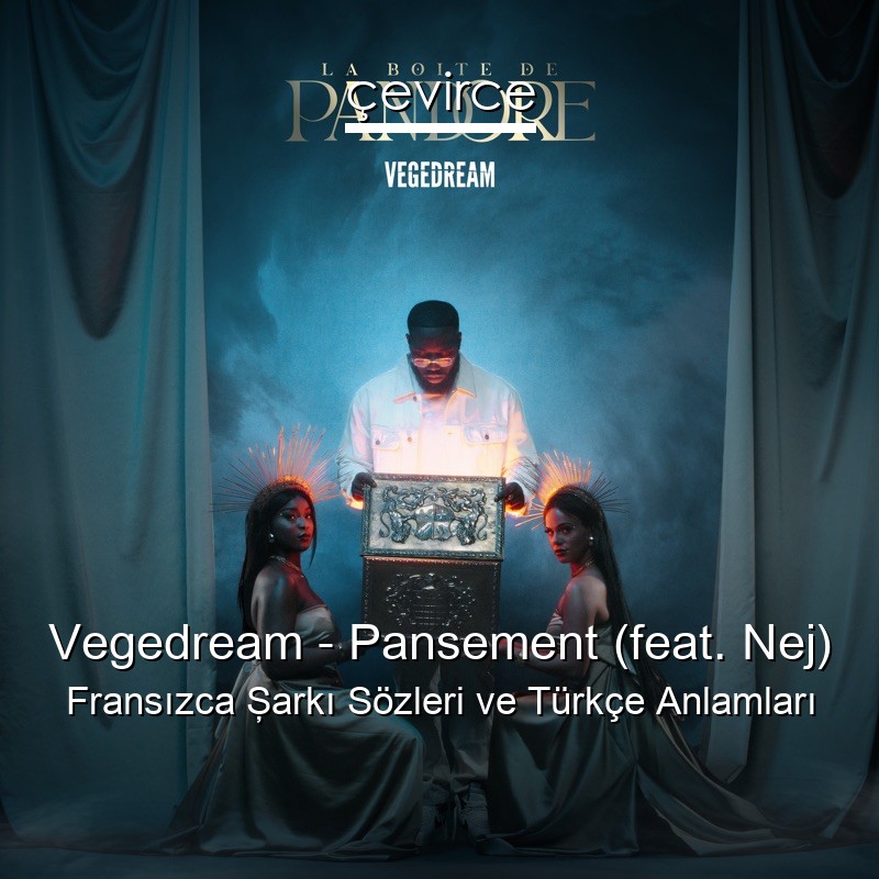 Vegedream – Pansement (feat. Nej) Fransızca Şarkı Sözleri Türkçe Anlamları