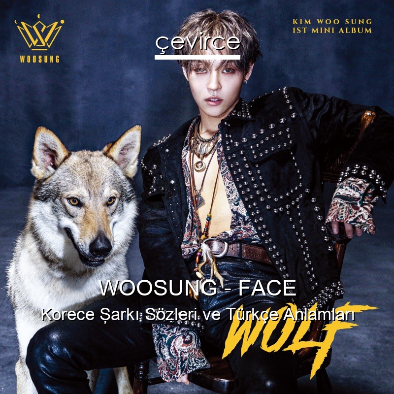 WOOSUNG – FACE Korece Şarkı Sözleri Türkçe Anlamları
