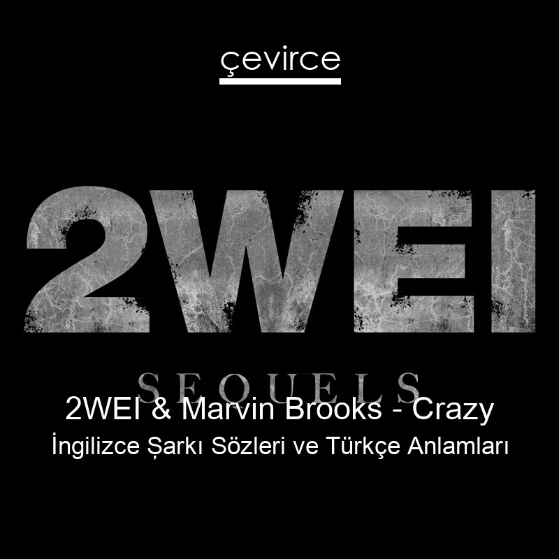 2WEI & Marvin Brooks – Crazy İngilizce Şarkı Sözleri Türkçe Anlamları