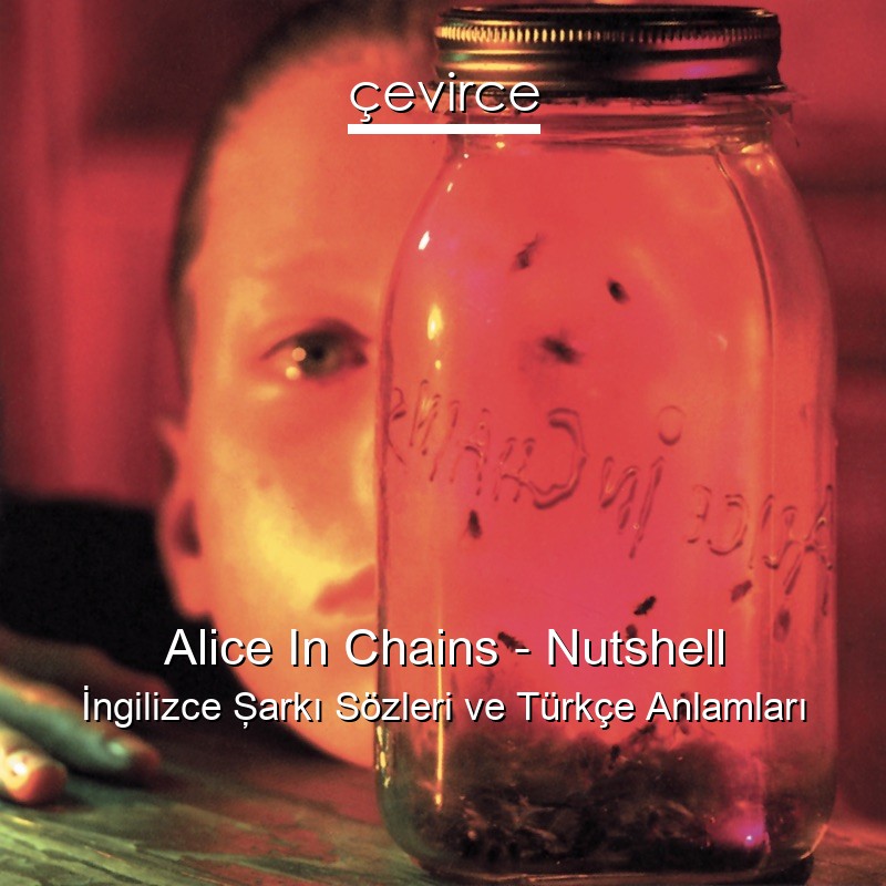 Alice In Chains – Nutshell İngilizce Şarkı Sözleri Türkçe Anlamları