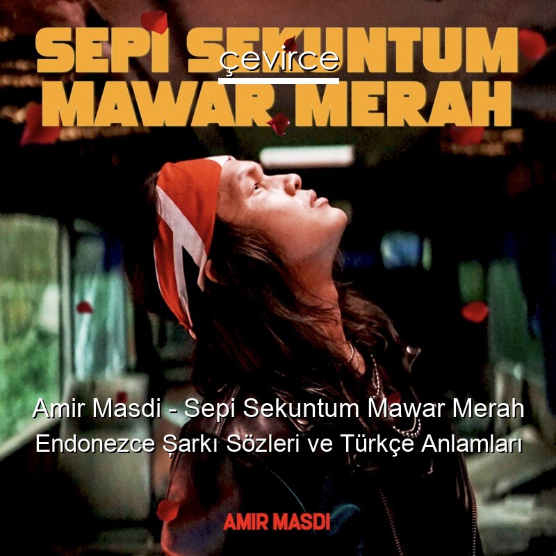 Amir Masdi – Sepi Sekuntum Mawar Merah Endonezce Şarkı Sözleri Türkçe Anlamları