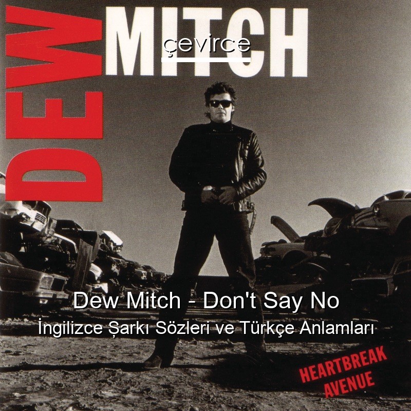 Dew Mitch – Don’t Say No İngilizce Şarkı Sözleri Türkçe Anlamları