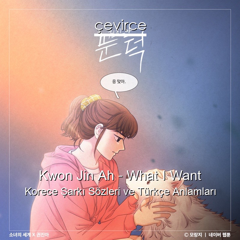 Kwon Jin Ah – What I Want Korece Şarkı Sözleri Türkçe Anlamları