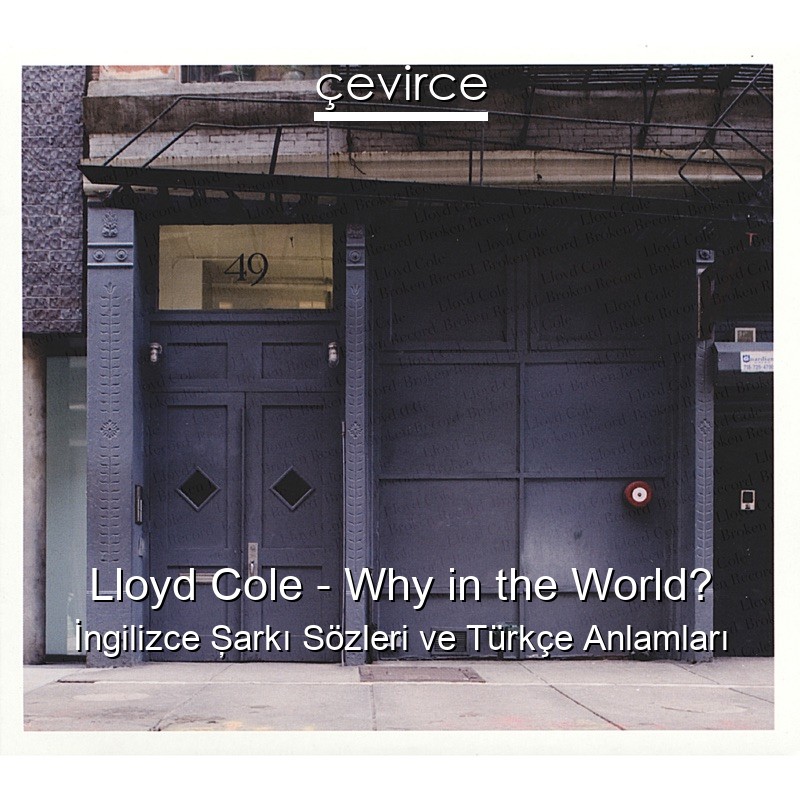 Lloyd Cole – Why in the World? İngilizce Şarkı Sözleri Türkçe Anlamları