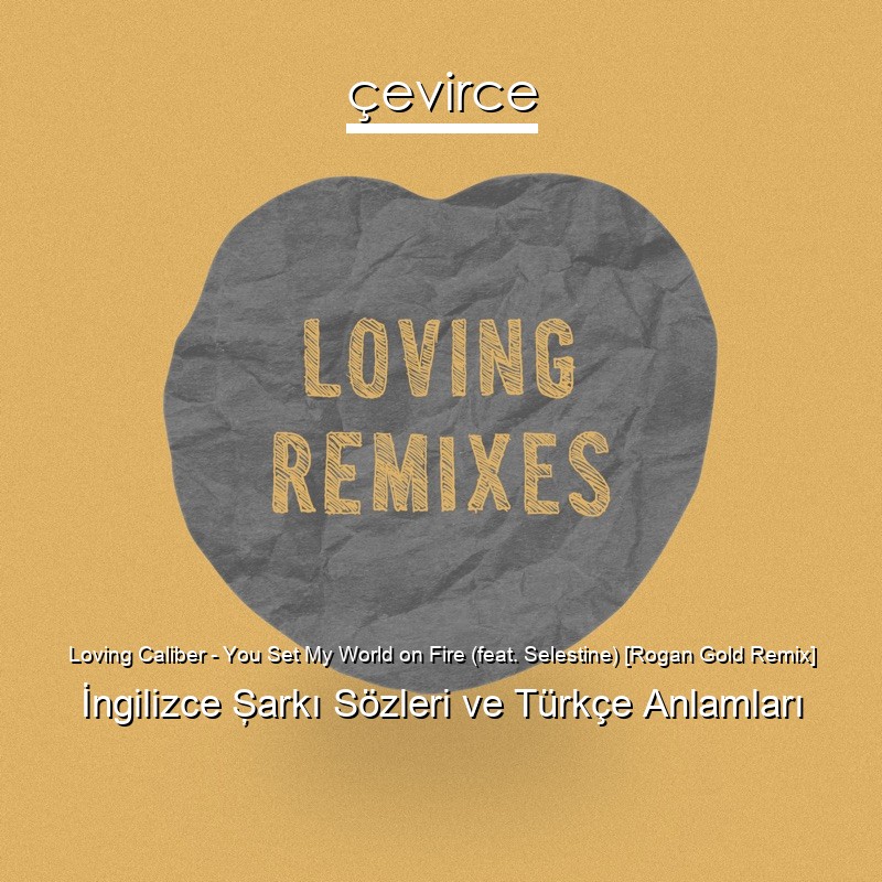 Loving Caliber – You Set My World on Fire (feat. Selestine) [Rogan Gold Remix] İngilizce Şarkı Sözleri Türkçe Anlamları