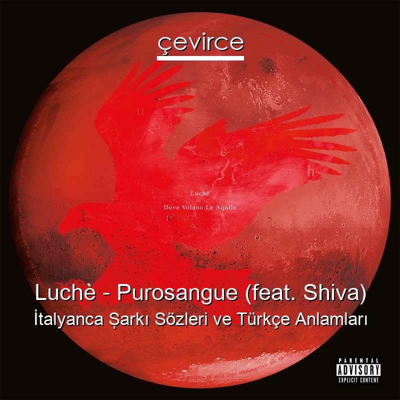 Luchè – Purosangue (feat. Shiva) İtalyanca Şarkı Sözleri Türkçe Anlamları