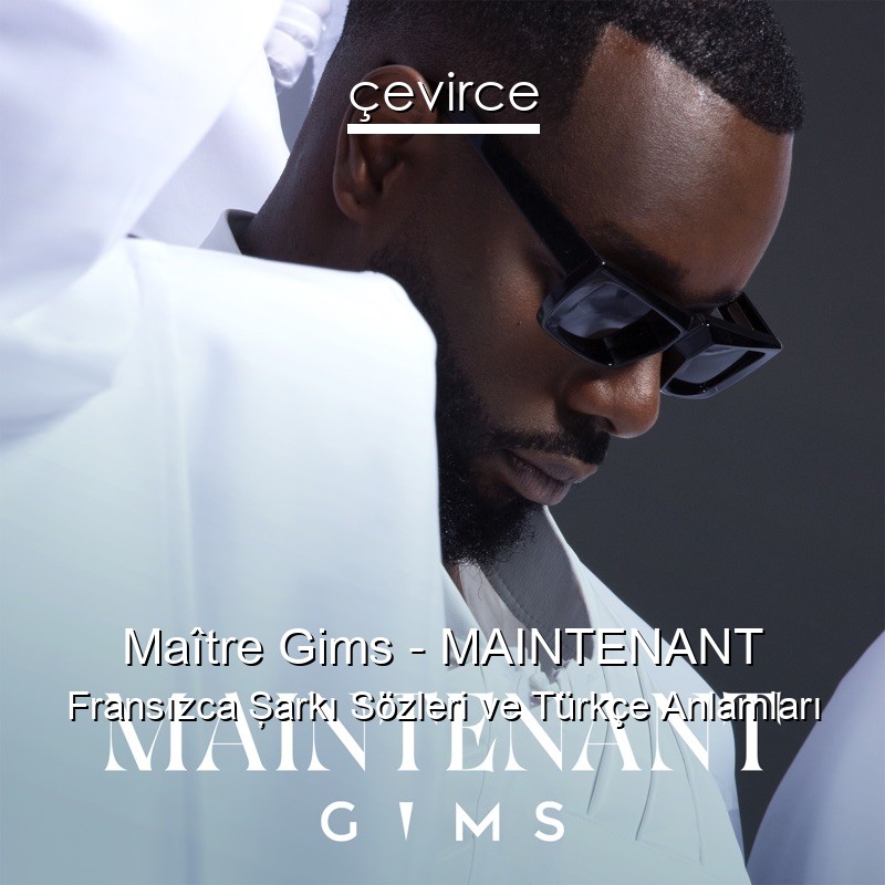 Maître Gims – MAINTENANT Fransızca Şarkı Sözleri Türkçe Anlamları