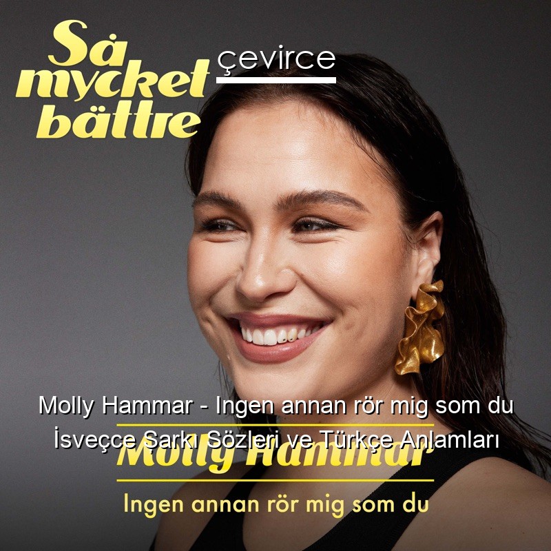 Molly Hammar – Ingen annan rör mig som du İsveçce Şarkı Sözleri Türkçe Anlamları