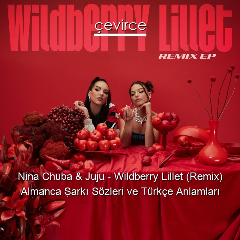 Nina Chuba & Juju – Wildberry Lillet (Remix) Almanca Şarkı Sözleri Türkçe Anlamları