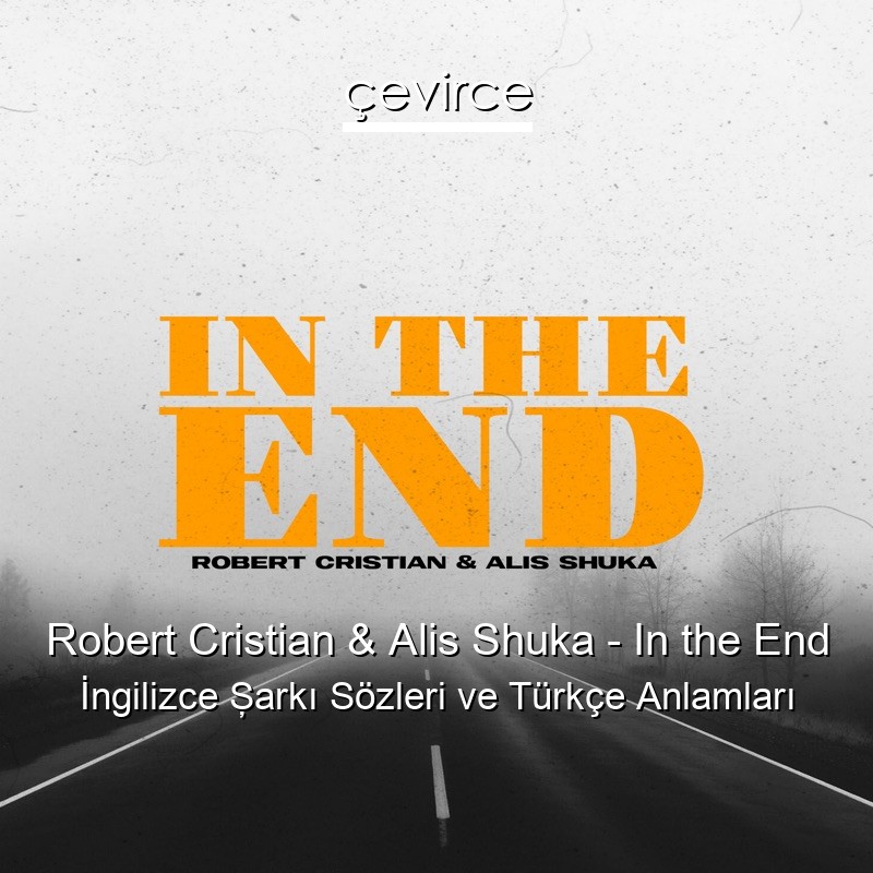 Robert Cristian & Alis Shuka – In the End İngilizce Şarkı Sözleri Türkçe Anlamları