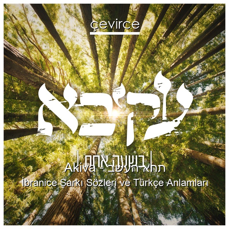 Akiva – בשעה אחת İbranice Şarkı Sözleri Türkçe Anlamları