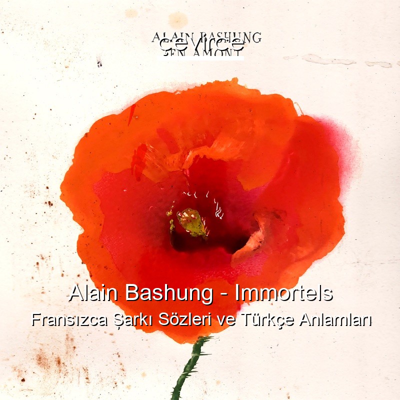 Alain Bashung – Immortels Fransızca Şarkı Sözleri Türkçe Anlamları