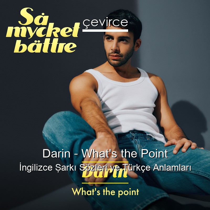 Darin – What’s the Point İngilizce Şarkı Sözleri Türkçe Anlamları
