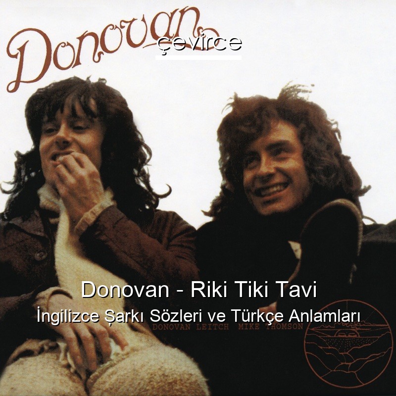 Donovan – Riki Tiki Tavi İngilizce Şarkı Sözleri Türkçe Anlamları