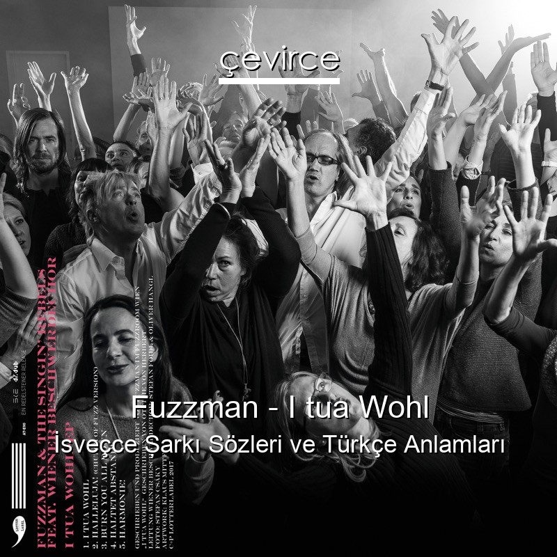 Fuzzman – I tua Wohl İsveçce Şarkı Sözleri Türkçe Anlamları