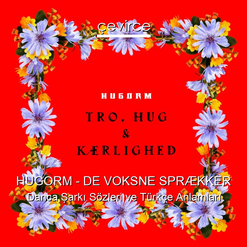 HUGORM – DE VOKSNE SPRÆKKER Danca Şarkı Sözleri Türkçe Anlamları
