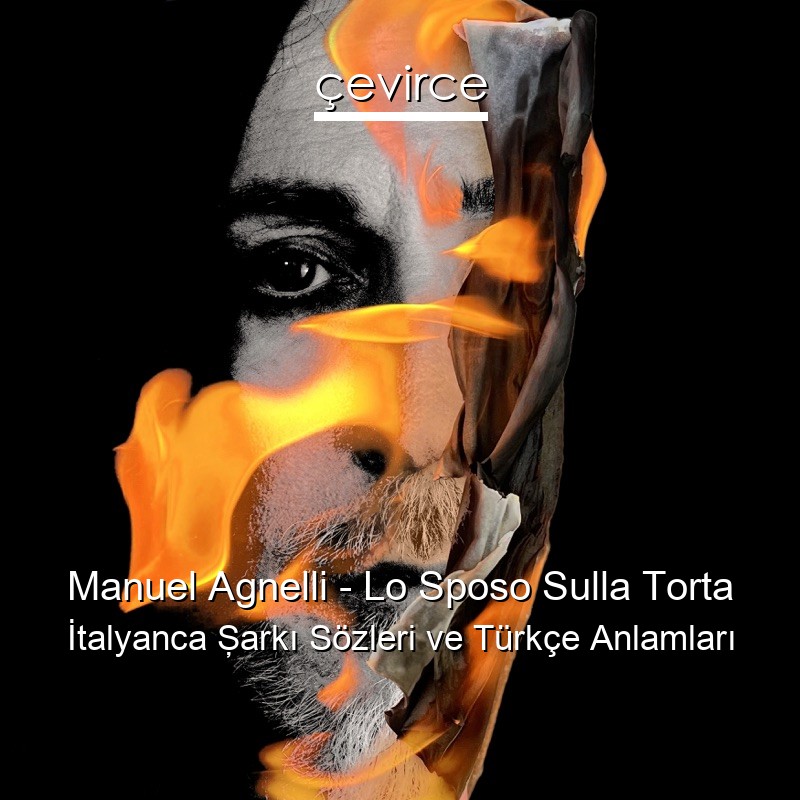 Manuel Agnelli – Lo Sposo Sulla Torta İtalyanca Şarkı Sözleri Türkçe Anlamları