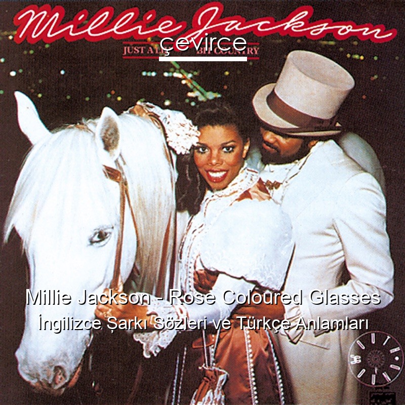 Millie Jackson – Rose Coloured Glasses İngilizce Şarkı Sözleri Türkçe Anlamları