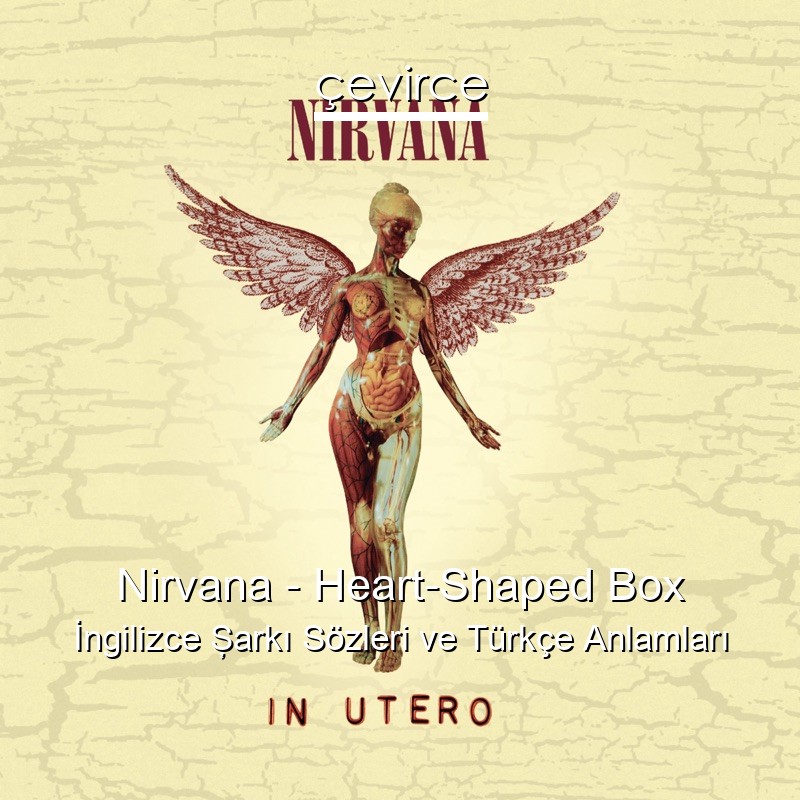 Nirvana – Heart-Shaped Box İngilizce Şarkı Sözleri Türkçe Anlamları