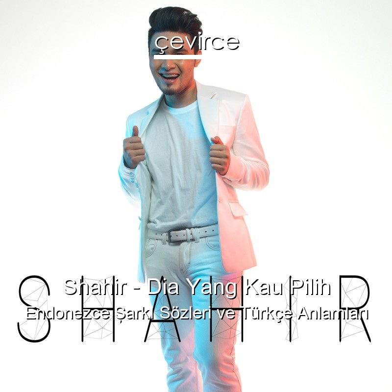 Shahir – Dia Yang Kau Pilih Endonezce Şarkı Sözleri Türkçe Anlamları
