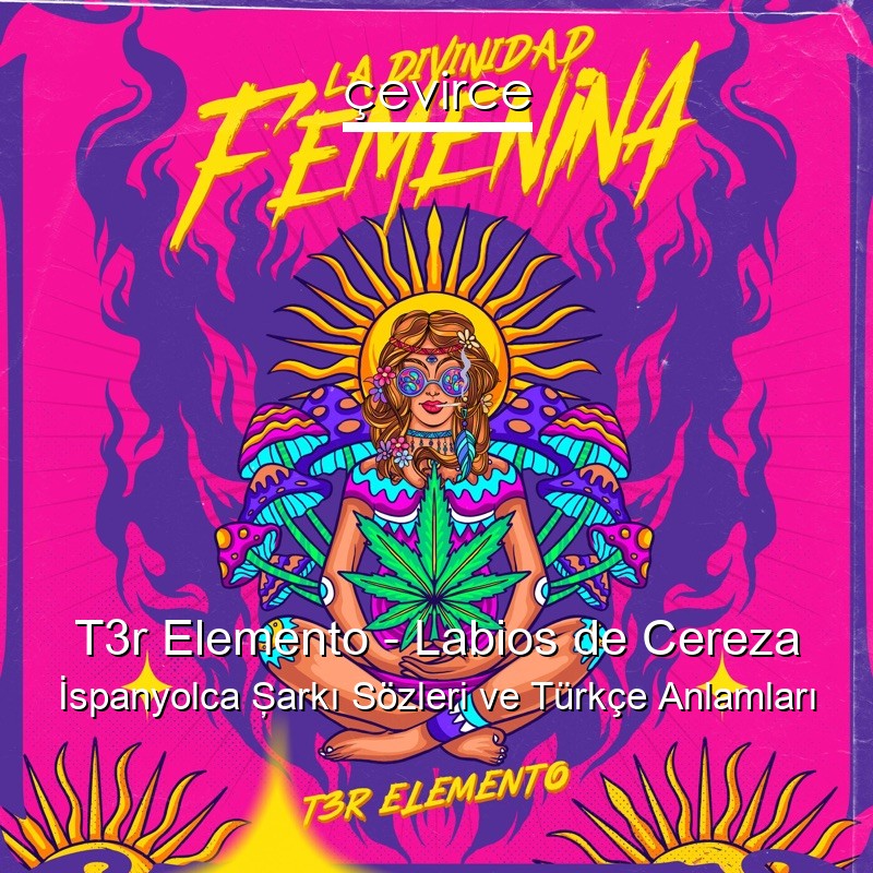 T3r Elemento – Labios de Cereza İspanyolca Şarkı Sözleri Türkçe Anlamları