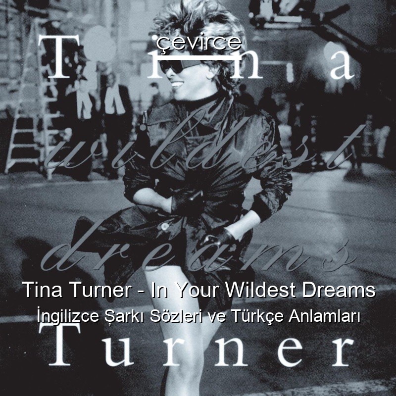Tina Turner – In Your Wildest Dreams İngilizce Şarkı Sözleri Türkçe Anlamları