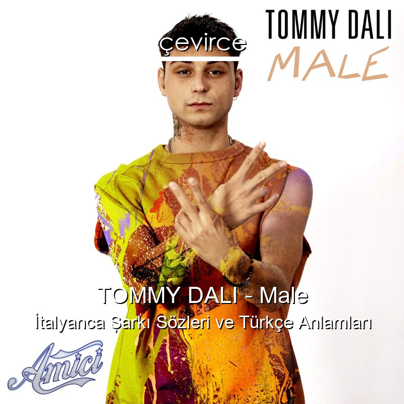 TOMMY DALI – Male İtalyanca Şarkı Sözleri Türkçe Anlamları