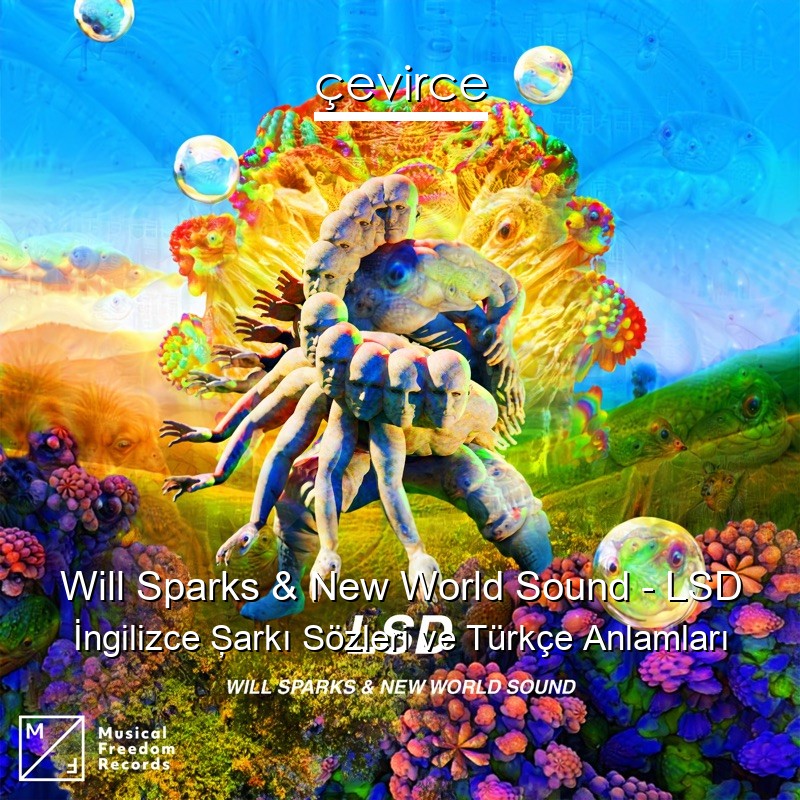 Will Sparks & New World Sound – LSD İngilizce Şarkı Sözleri Türkçe Anlamları