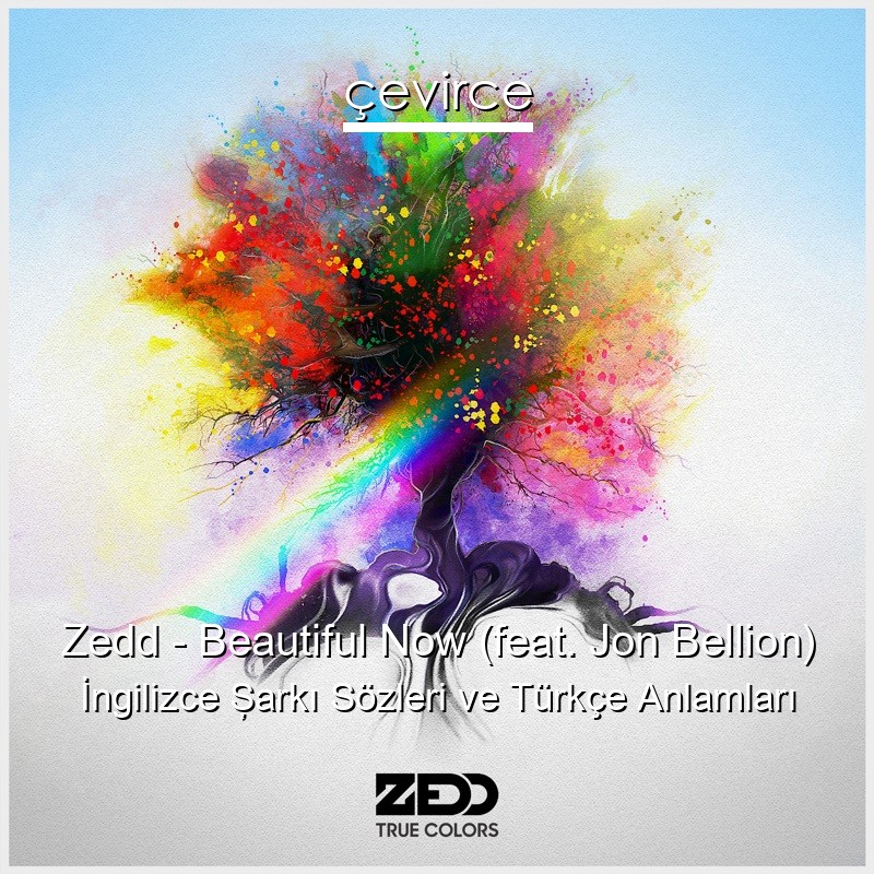 Zedd – Beautiful Now (feat. Jon Bellion) İngilizce Şarkı Sözleri Türkçe Anlamları