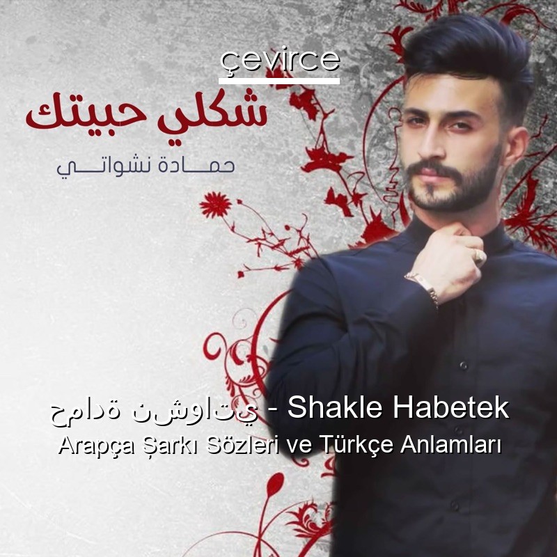 حمادة نشواتي – Shakle Habetek Arapça Şarkı Sözleri Türkçe Anlamları
