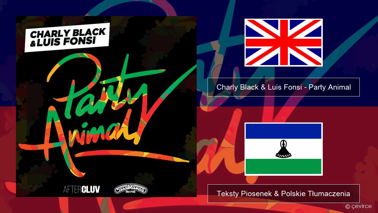 Charly Black & Luis Fonsi – Party Animal Polski Teksty Piosenek & Polskie Tłumaczenia