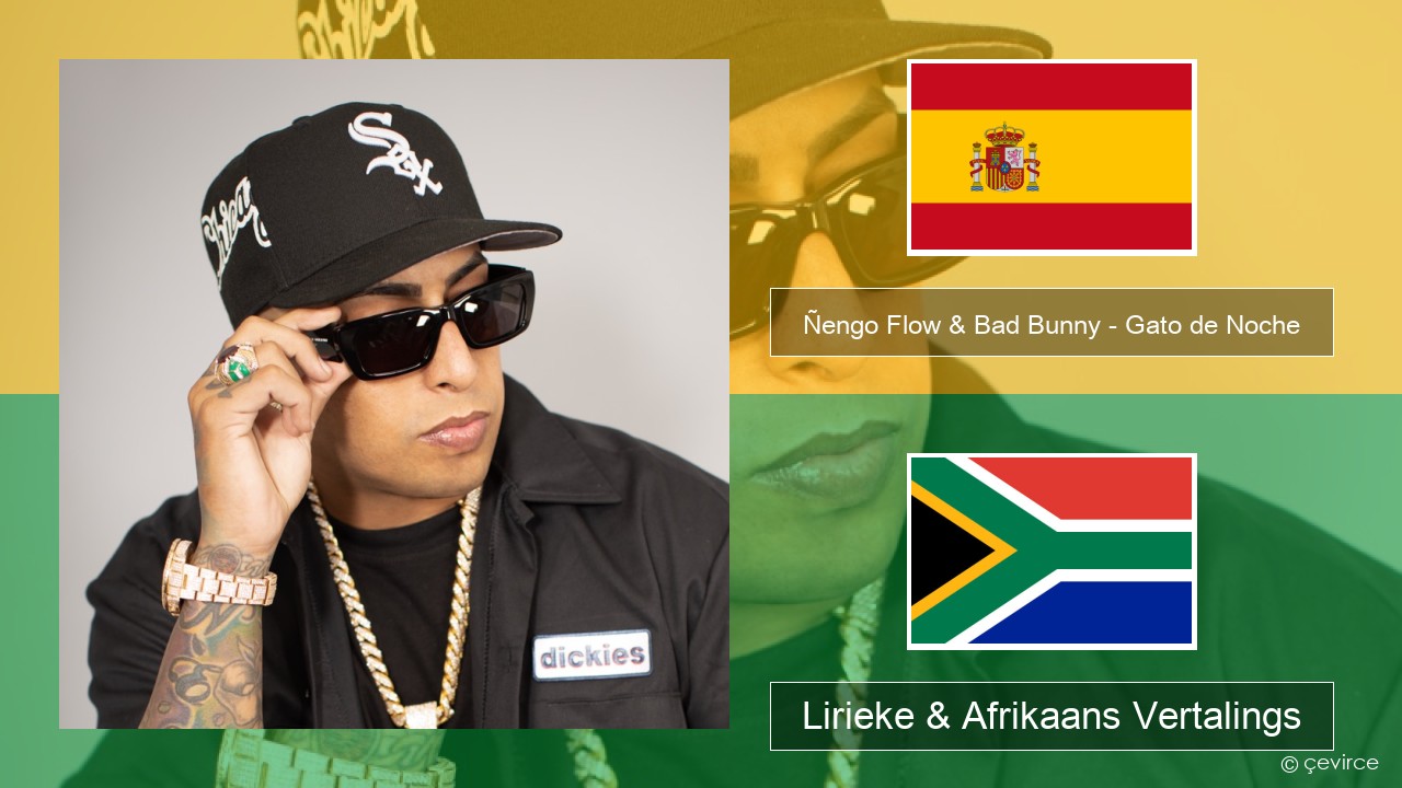 Ñengo Flow & Bad Bunny – Gato de Noche Spaanse Lirieke & Afrikaans Vertalings