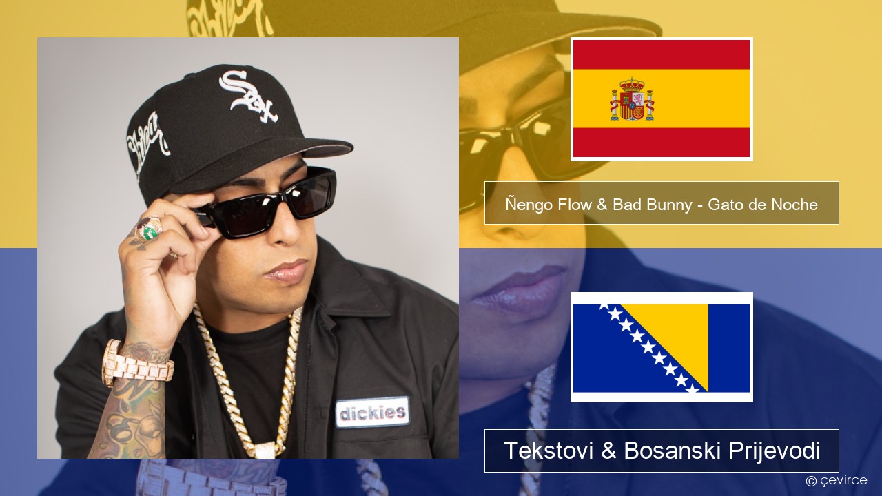 Ñengo Flow & Bad Bunny – Gato de Noche Španski Tekstovi & Bosanski Prijevodi