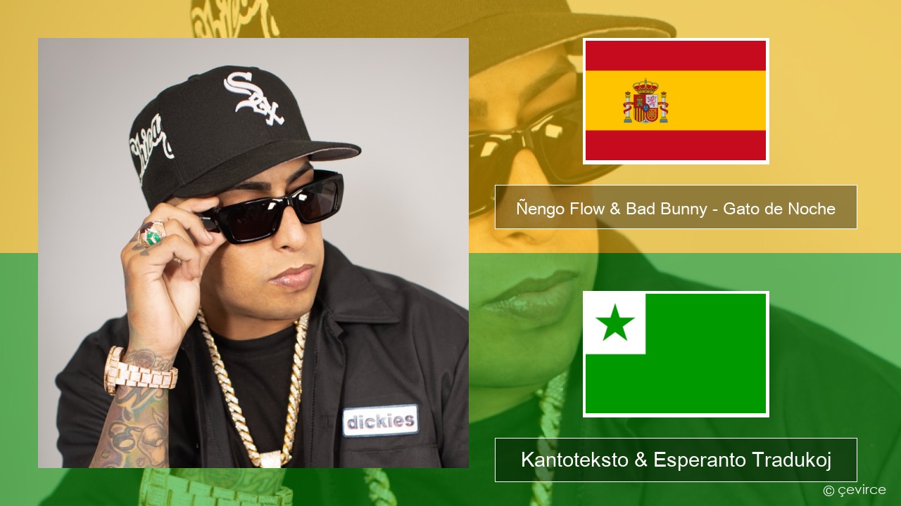 Ñengo Flow & Bad Bunny – Gato de Noche La hispana Kantoteksto & Esperanto Tradukoj