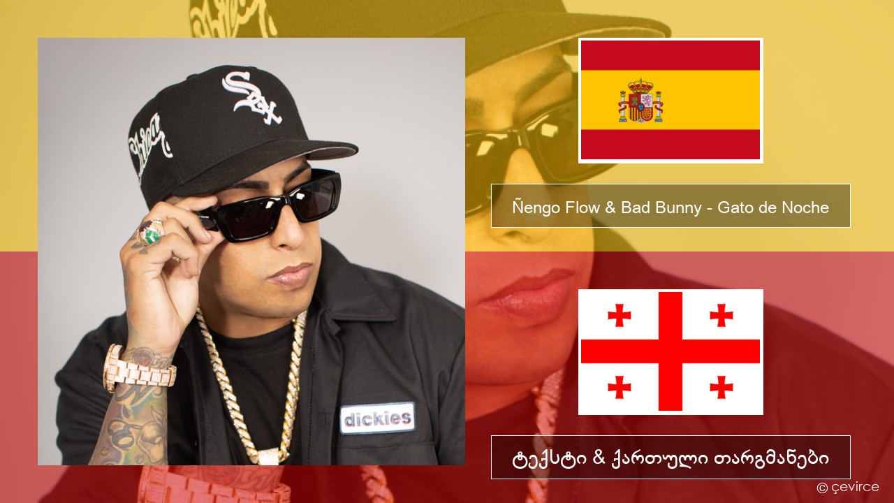 Ñengo Flow & Bad Bunny – Gato de Noche ესპანური ტექსტი & ქართული თარგმანები