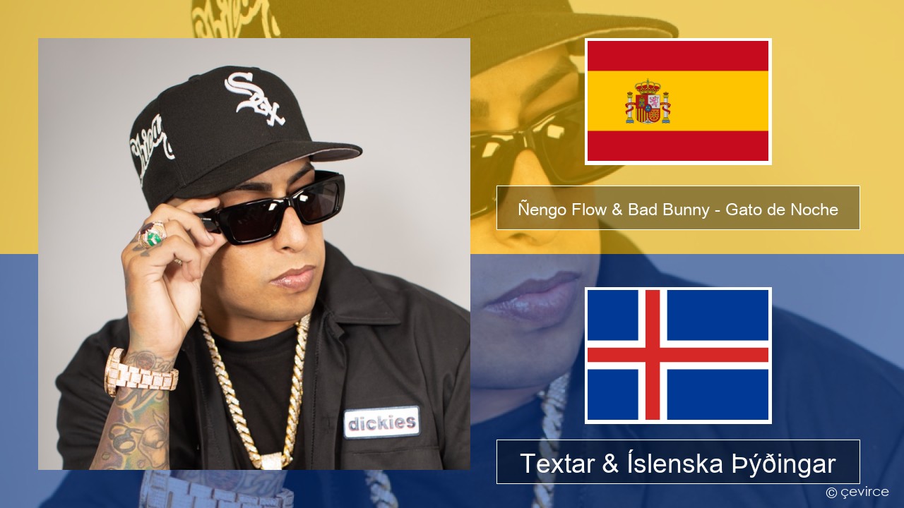 Ñengo Flow & Bad Bunny – Gato de Noche Spænska Textar & Íslenska Þýðingar