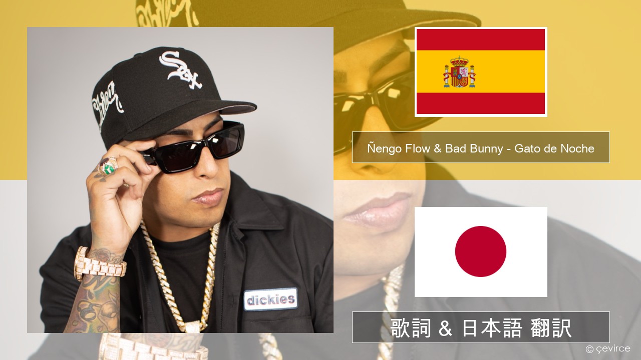 Ñengo Flow & Bad Bunny – Gato de Noche スペイン語 歌詞 & 日本語 翻訳