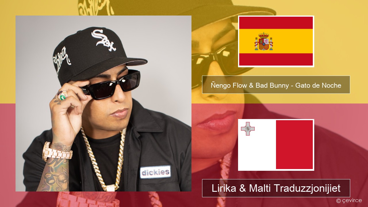 Ñengo Flow & Bad Bunny – Gato de Noche Spanjol Lirika & Malti Traduzzjonijiet