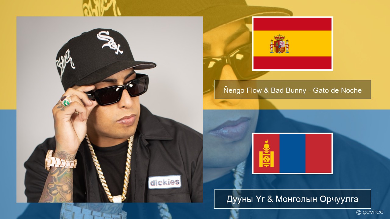Ñengo Flow & Bad Bunny – Gato de Noche Испани хэл Дууны Үг & Монголын Орчуулга
