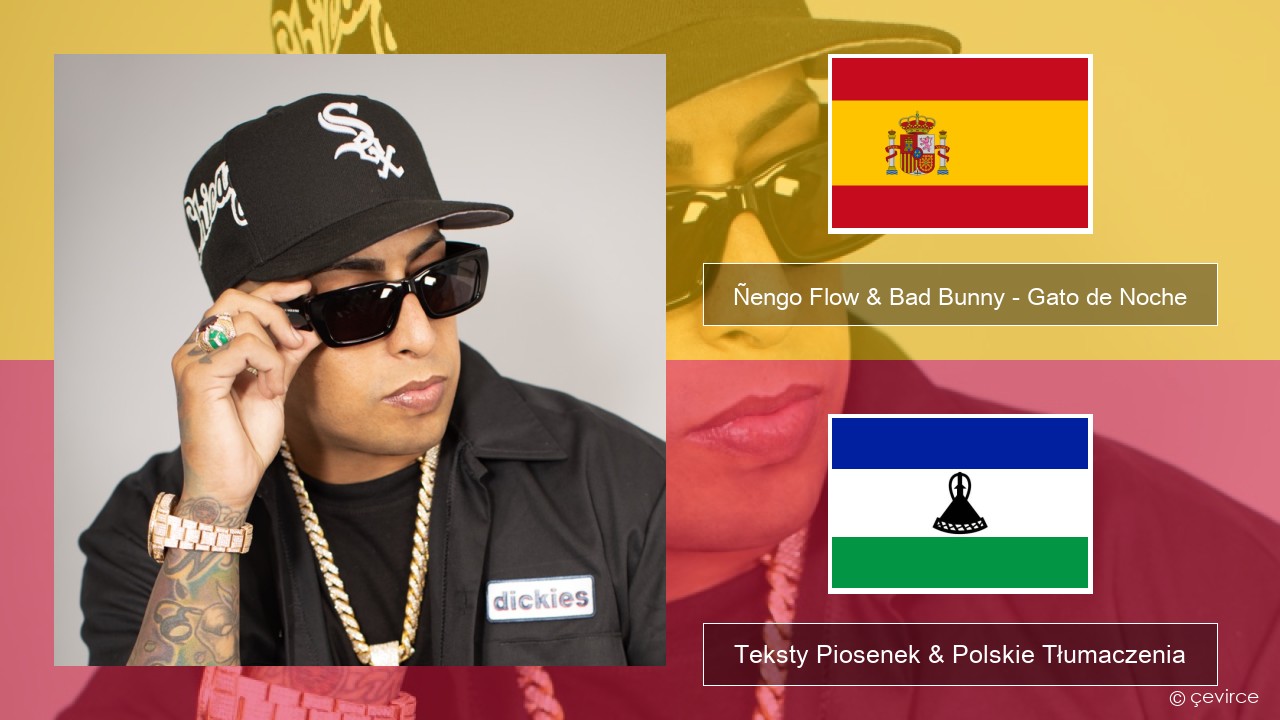 Ñengo Flow & Bad Bunny – Gato de Noche Spanish Teksty Piosenek & Polskie Tłumaczenia