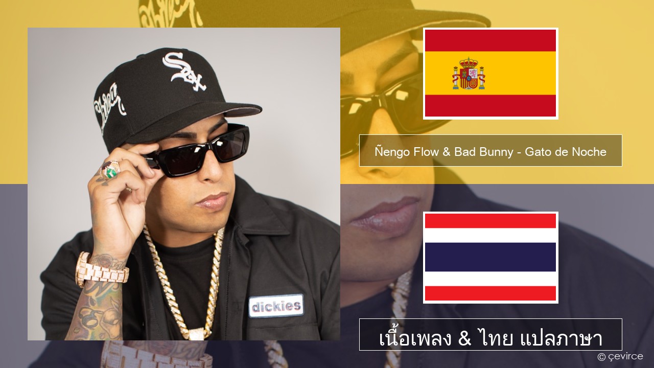 Ñengo Flow & Bad Bunny – Gato de Noche สเปน เนื้อเพลง & ไทย แปลภาษา