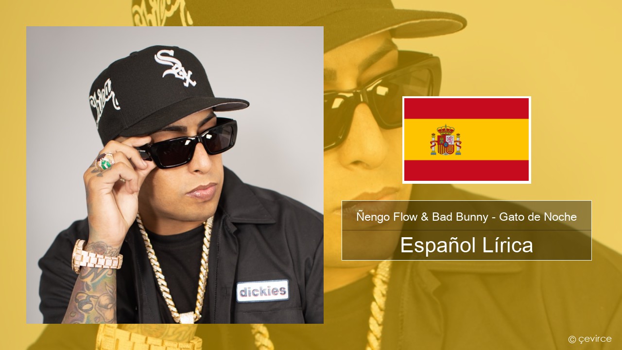 Ñengo Flow & Bad Bunny – Gato de Noche Español Lírica