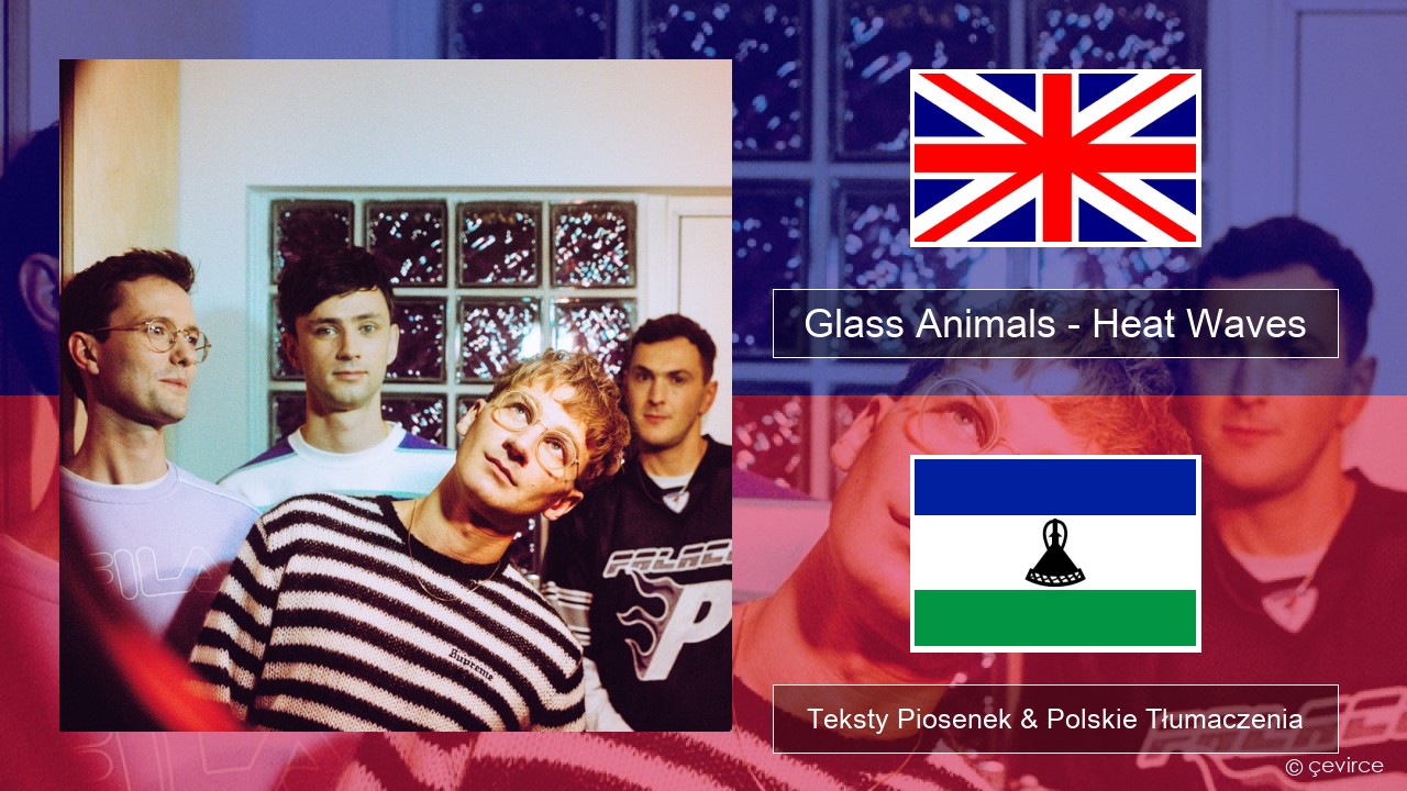 Glass Animals – Heat Waves Polski Teksty Piosenek & Polskie Tłumaczenia