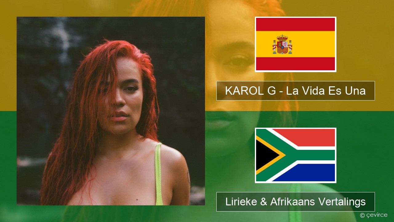 KAROL G – La Vida Es Una (From Puss in Boots: The Last Wish) Spaanse Lirieke & Afrikaans Vertalings