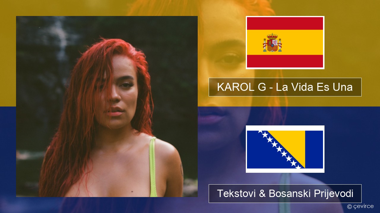 KAROL G – La Vida Es Una (From Puss in Boots: The Last Wish) Španski Tekstovi & Bosanski Prijevodi