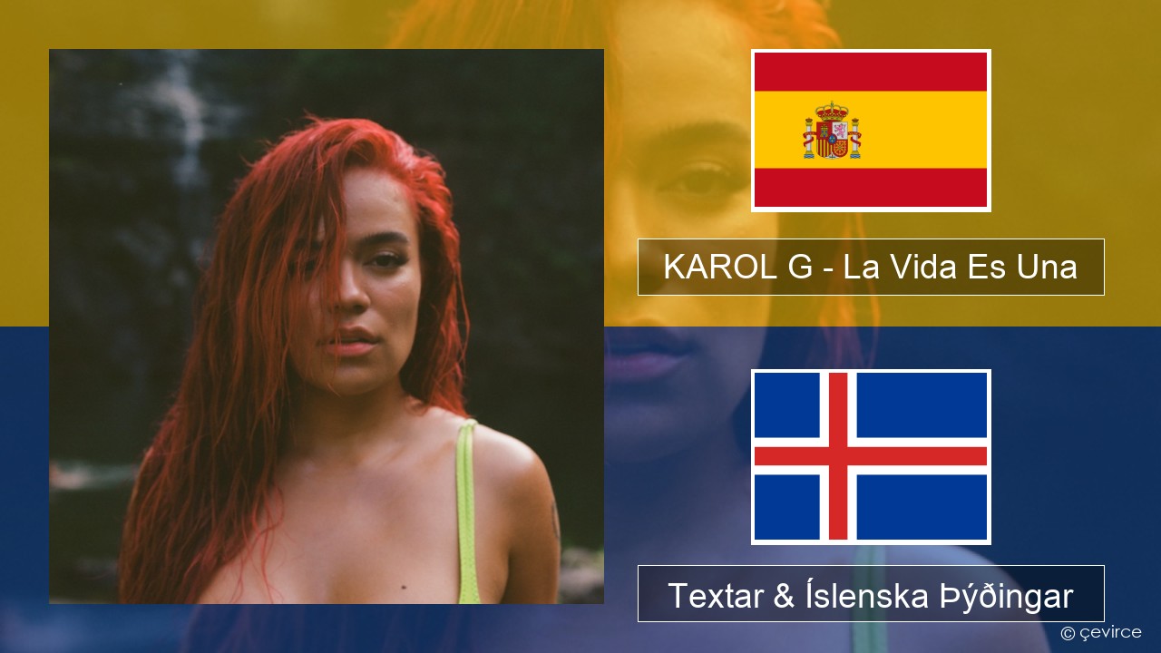KAROL G – La Vida Es Una (From Puss in Boots: The Last Wish) Spænska Textar & Íslenska Þýðingar